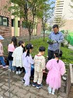 2025년 4월 24일 유치원 땅콩심기 체험