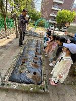 2025년 4월 30일 유치원 토마토 모종 심기 체험